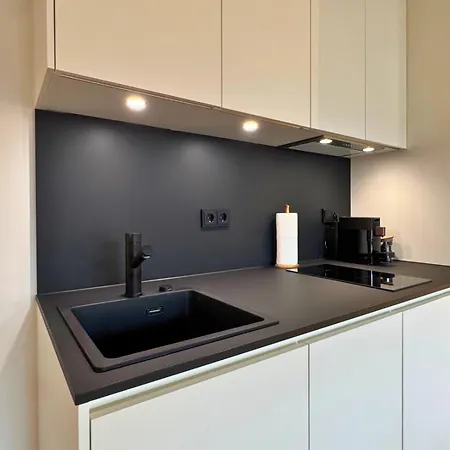 Isaak Loewenbau E1-w07 Apartment Waldshut-Tiengen