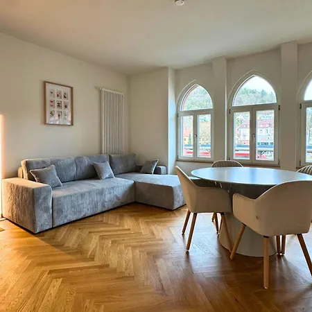 Isaak Loewenbau E1-w07 Apartmán Waldshut-Tiengen